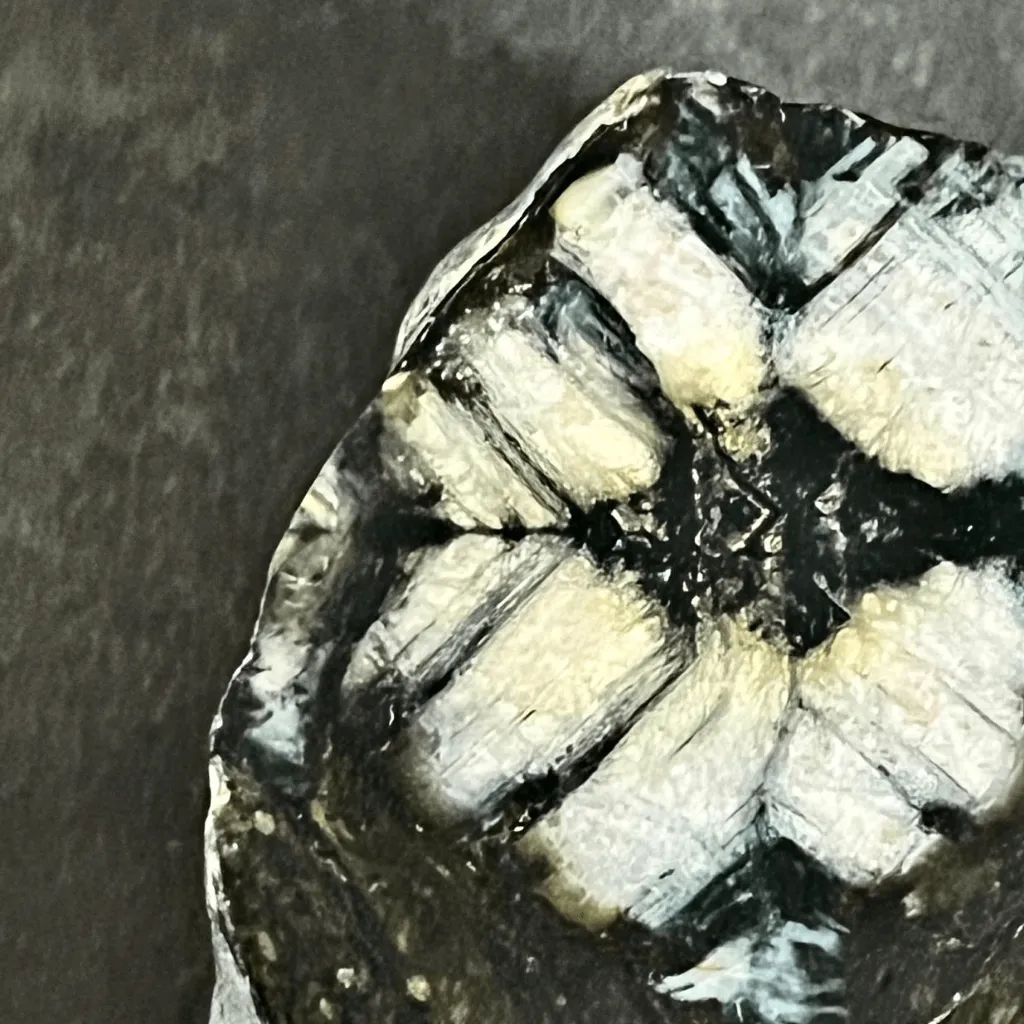 WhatsApp Image 2026-03-03 at 09.49.31.webp