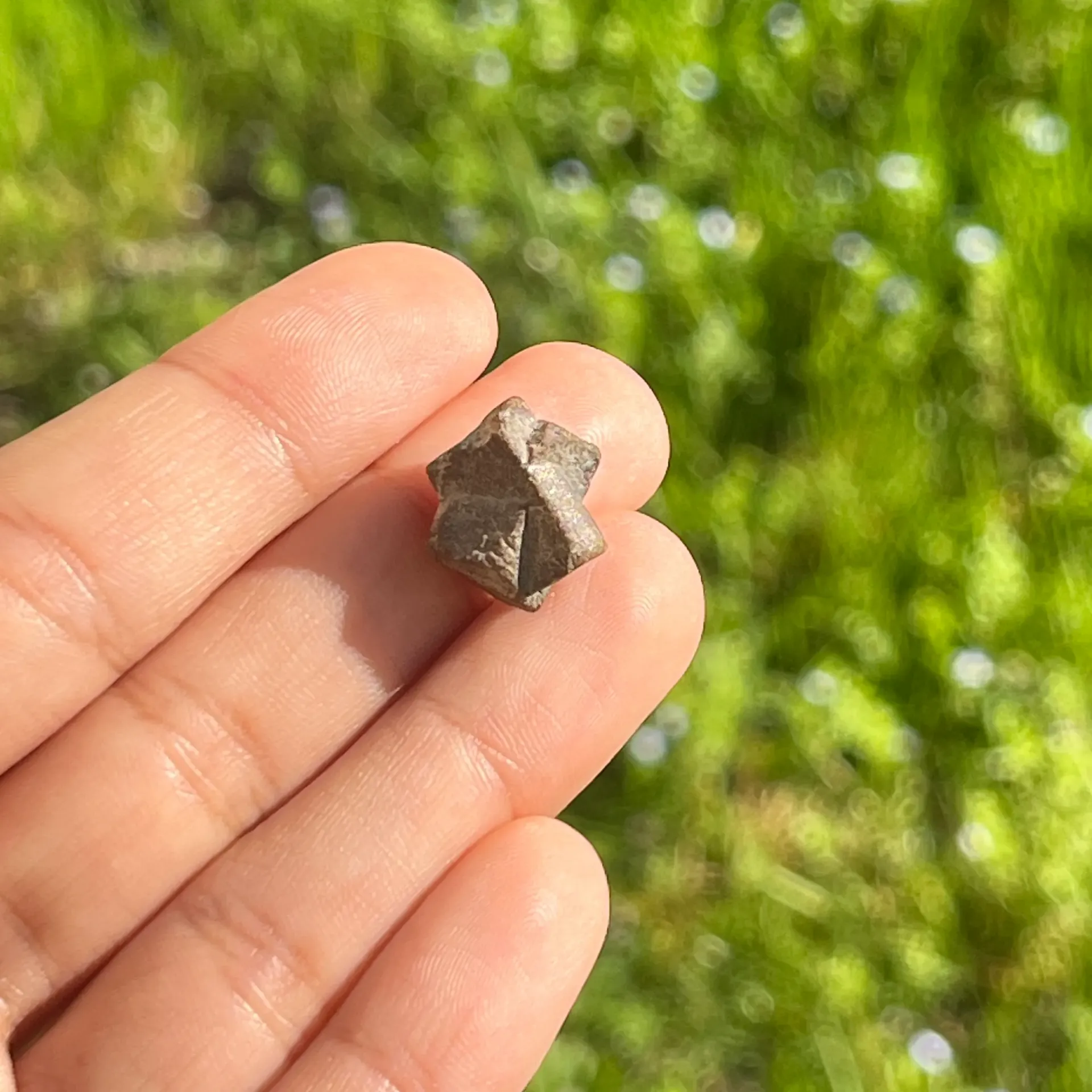 Croix des Fées (Staurotide) - Protection | Pierre Brute