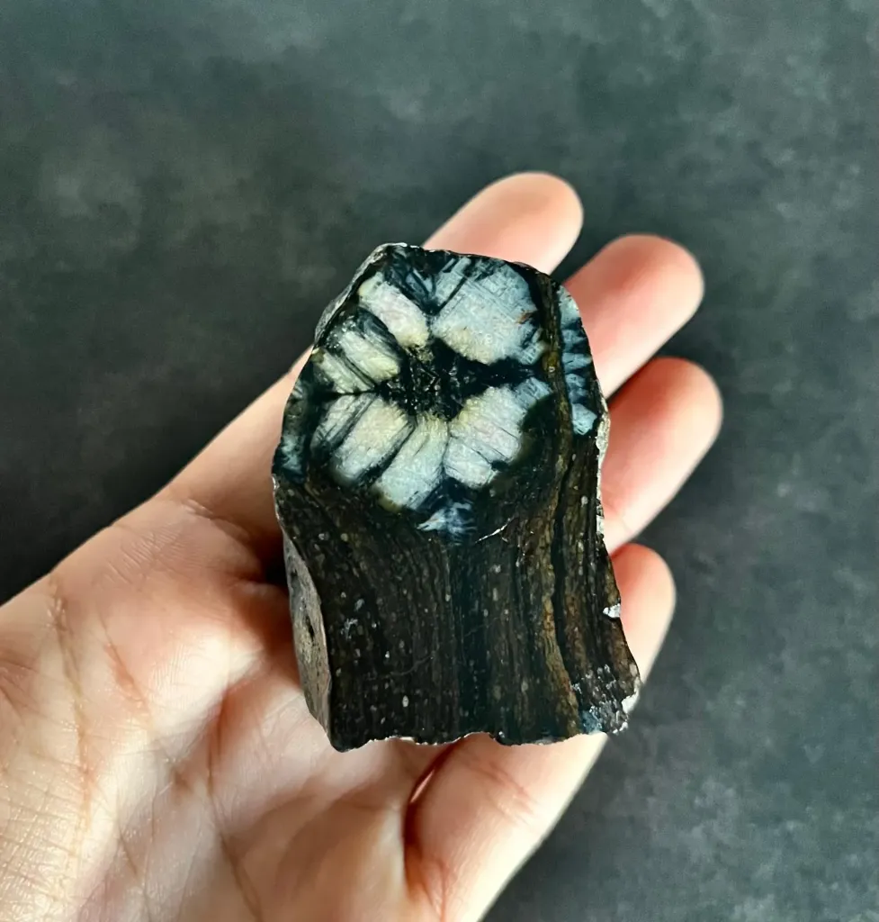 Chiastolite - Centrage | Galet