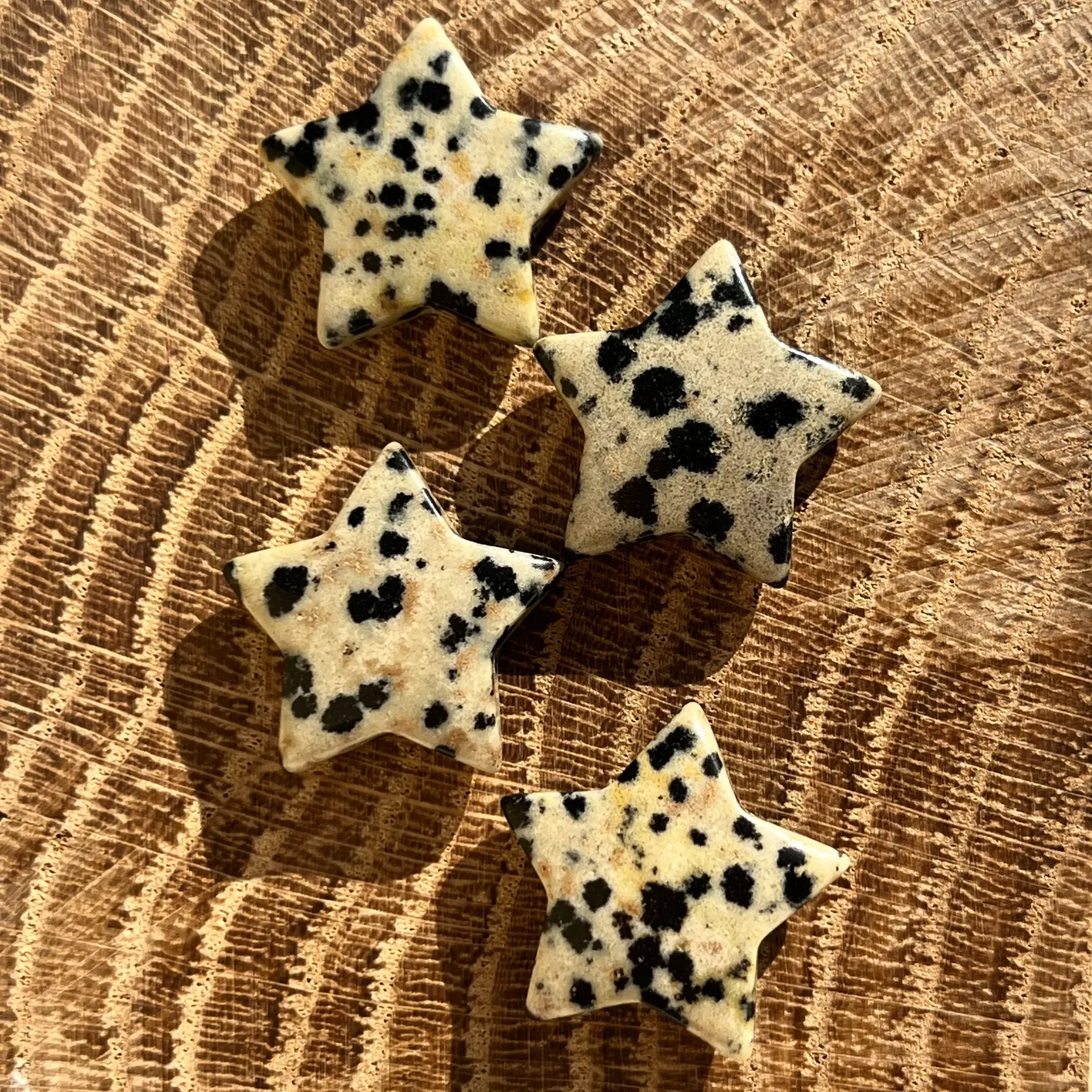 Jaspe Dalmatien - Joie de Vivre | Mini Etoile